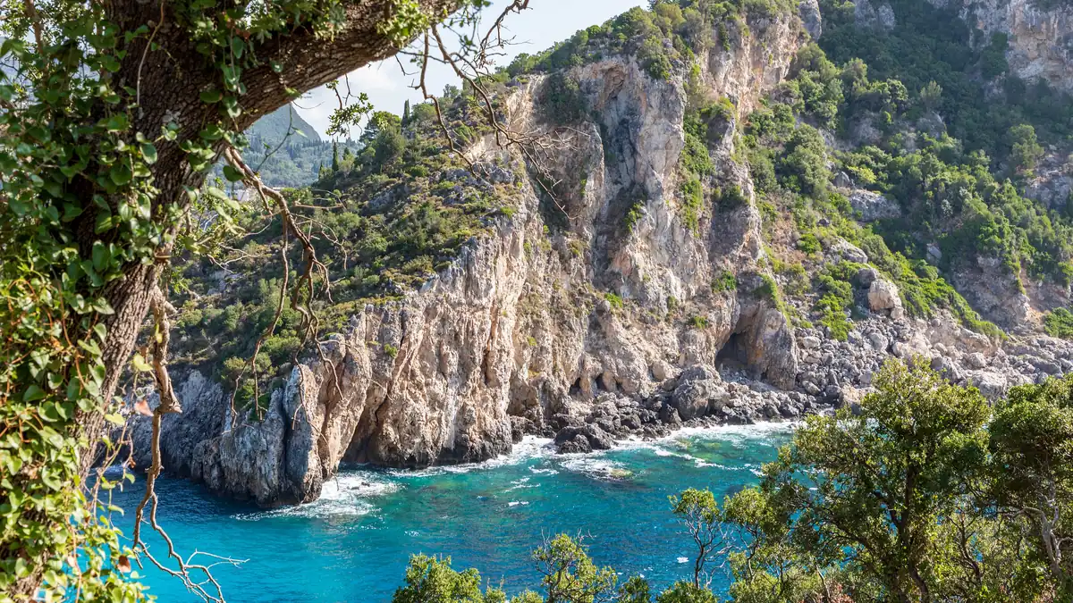 Faleze calcaroase acoperite de vegetație deasupra unui golf cu apă turcoaz la Paleokastritsa, pe coasta de vest a insulei Corfu, încadrate de ramurile unui copac